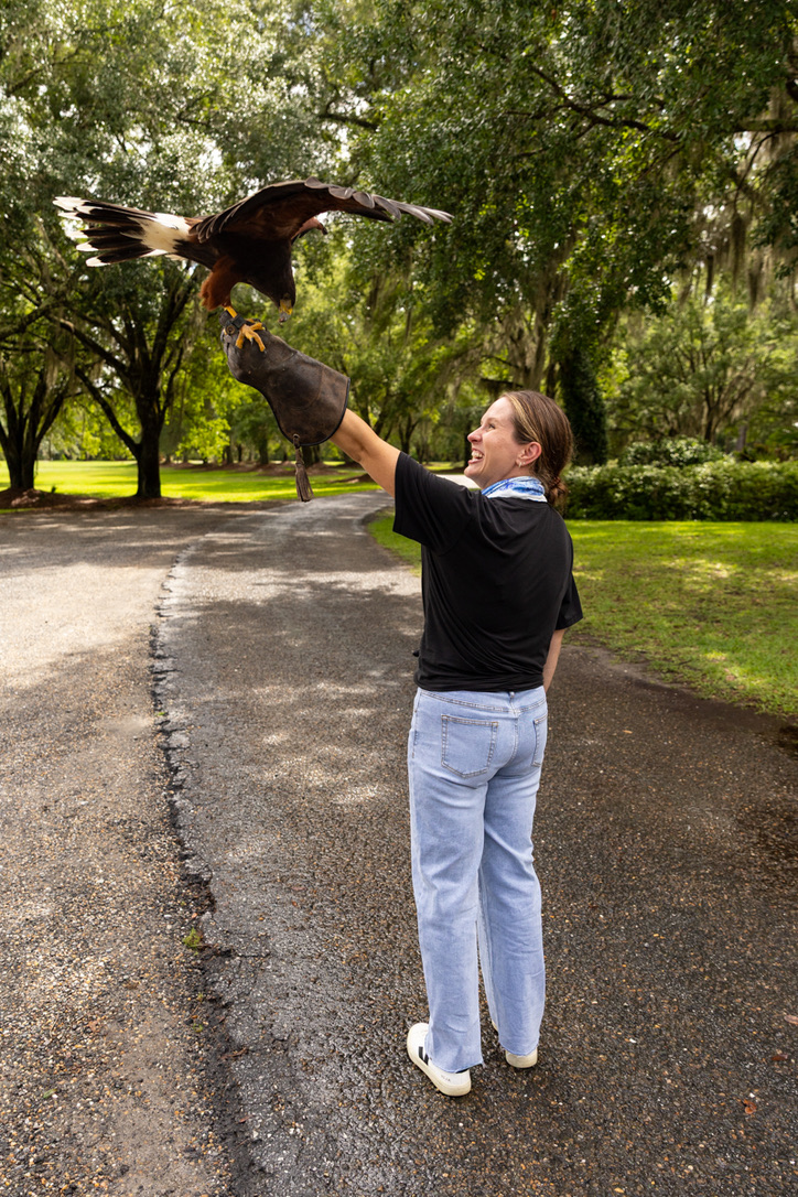 Private falconry experience with Harris Hawk at Broadfield, Sea Island Resort.